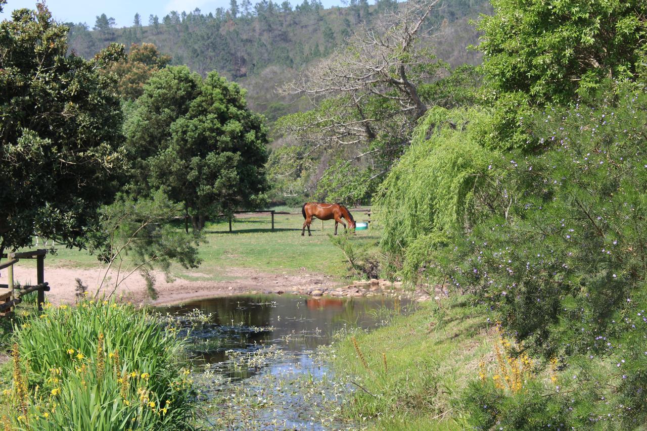 Kingfisher Cottage At Boschrivier Farm Plettenberg Bay Wittedrif Екстер'єр фото