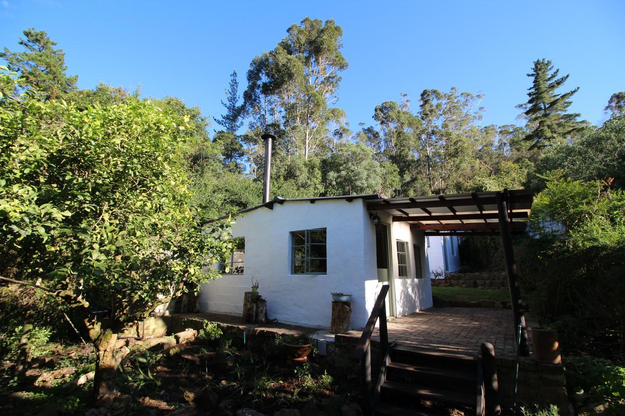 Kingfisher Cottage At Boschrivier Farm Plettenberg Bay Wittedrif Екстер'єр фото